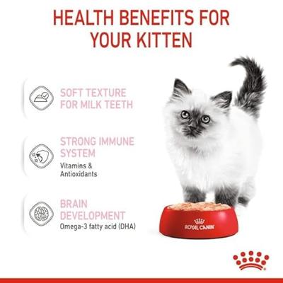Royal Canin Kitten natvoer kat (paté) 1 doos (12 x 85 g)