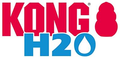 KONG H2O DRINKFLES THERMOS ROOD 740 ML
