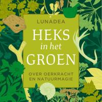 Heks in het groen - thumbnail