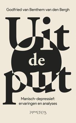 Uit de put - Godfried van Benthem van den Bergh - ebook