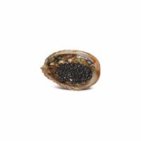 Abalone Ontlaadschelp met Hematiet Steentjes - thumbnail