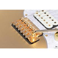Ibanez Scott LePage Signature KRYS10 elektrische gitaar met gigbag - thumbnail