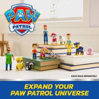 Paw Patrol Skye & Alex Porter - thumbnail