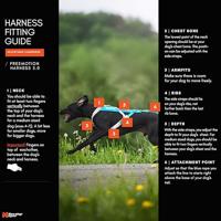 Non-stop dogwear® Trektuig Freemotion Harness 5.0, black/orange, Maat: 8 - thumbnail