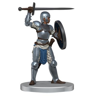 D&D Icons of the Realms Kalaman Military Warband