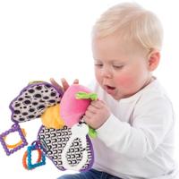 Playgro activiteitenvriend vlinder - thumbnail