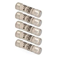 Zekering EDM E62202 16 A 8,5 x 31,5 mm (5 Stuks) - thumbnail