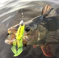 Westin CreCraw Creaturebait 8,5cm 5St. Junebug - thumbnail