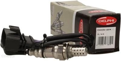 Lambdasonde ES2025612B1