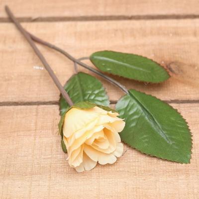 Bonbon doosjes - Chocolade doosje - Roos beige - 24 stuks