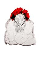 Diadeem Day of the dead met sluier - thumbnail