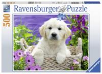 Ravensburger Schattige Golden Retriever - thumbnail