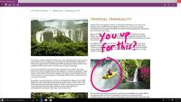 Microsoft Windows 10 Pro - NL (64 bit) - thumbnail