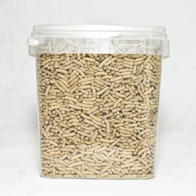 Schildpadvoer Schildpad Sticks Suren Collection - Suren collection