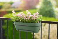 Elho Vibia campaba all-in-1 trough 70 pistachio green - thumbnail