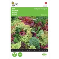 Zaden Sla Babyleaf mengsel Buzzy - Buzzy - thumbnail