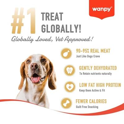 WANPY OVEN-ROASTED CHICKEN JERKY CHIPS - thumbnail