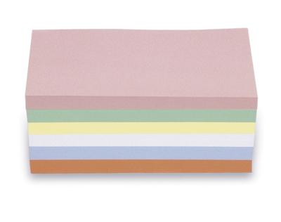 magnetoplan 111151510 Presentatiekaart Roze, Groen, Geel, Wit, Blauw, Oranje Rechthoekig 200 mm x 100 mm 500 stuk(s)