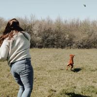 HUNTER Speelgoed hond flingerz splash schildpad met launcher - thumbnail