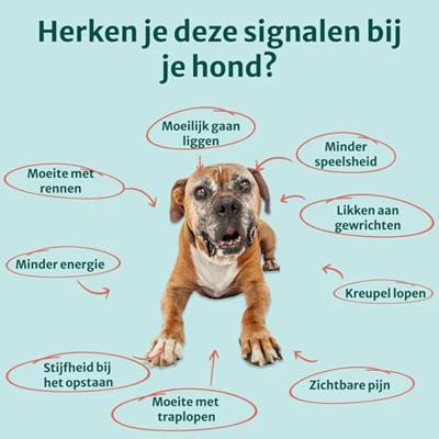 Dogsuppy Heup & Gewrichten Chewies - thumbnail