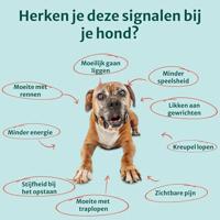 Dogsuppy Heup & Gewrichten Chewies - thumbnail