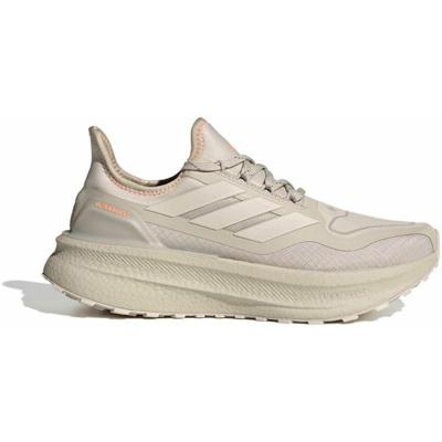 adidas Ultraboost 5x GTX Dames