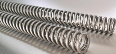 WIRTH voorvorkveren set fork spring set 2021 polished