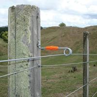 Gallagher Live Tip Afstandisolator hout 16cm (20) - 006183 006183 - thumbnail