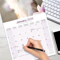 Chihuahua Kalender 2026 - thumbnail