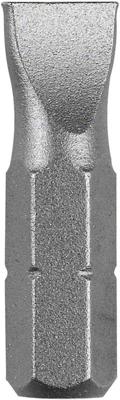 Bosch Accessories Gleuf-bit 8 mm C 6.3 2 stuk(s)
