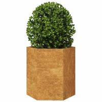 Plantenbakken 2 st zeshoek 46x40x45 cm cortenstaal - thumbnail