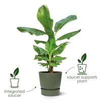 Greenville rond 30 bloempot blad groen buiten dia. 29,5 x h 27,8 cm - Elho - thumbnail