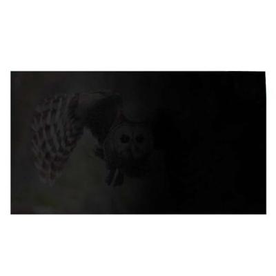 NATEC PRIVACYFILTER OWL 17,3” 16:9