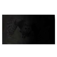 NATEC PRIVACYFILTER OWL 17,3” 16:9 - thumbnail