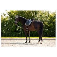 BR Event peesbeschermers donkergroen maat:full - thumbnail