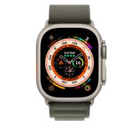 Apple Alpine Loop Apple Watch 42mm / 44mm / 45mm / 49mm Small Green - thumbnail