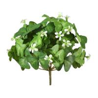 Kunstbloem Oxalis Bush wit 20 cm | 12 stuks - thumbnail