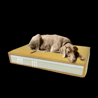 Madison Orthopedisch Kussen Velvet Geel S - thumbnail
