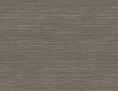 Dutch Wallcoverings Inlay Moroccan Sisal Dark Brown