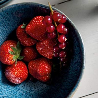 Leonardo Matera Schaal blauw 15 cm