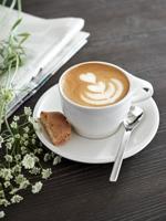 VILLEROY & BOCH - Coffee Passion - Koffielepel s/414cm - thumbnail