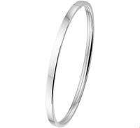 TFT Slavenband Zilver Dop Vlakke Buis 4 X 60 mm - thumbnail