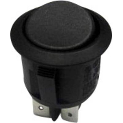 TRU COMPONENTS 1587659 Wipschakelaar TC-R13-244C-02 250 V/AC 10 A 1x aan/aan Continu 1 stuk(s)