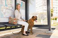 Rogz For Dogs lumberjack halfslip halsband paars - thumbnail