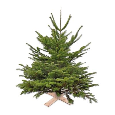Super Actie Kerstboom Nordman Gezaagd 125 - 150 cm Warentuin Natuurlijk excl pot/kruisvoet - Warentuin natuurlijk
