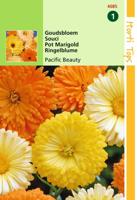 Zaden Calendula Goudsbloem Pacific Beauty gemengd Hortitops - Hortitops - thumbnail