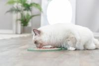 Trixie Lick'n&apos;Snack Mat kat - thumbnail