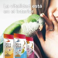 Grote parkiet 500gr Beaphar - Beaphar - thumbnail