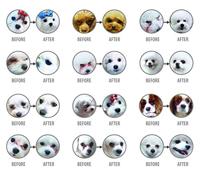 NATURE'S PROTECTION Superior Care White Dogs Grain Free Adult Klein Lam - droog hondenvoer - 4 kg - thumbnail