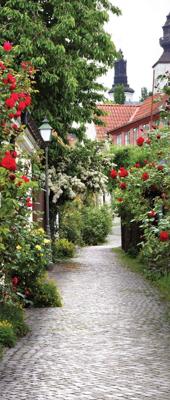 Trap bloemen 130x50cm Tuinschilderij Customize-it - Customize it